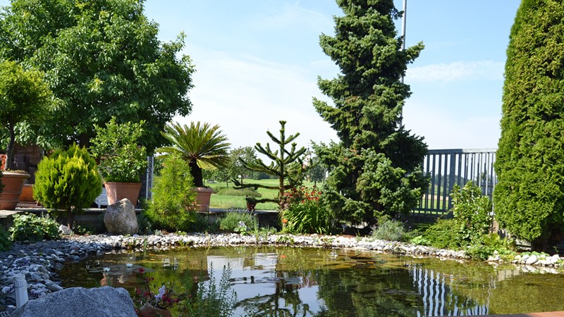 05-gartengestaltung-wasser