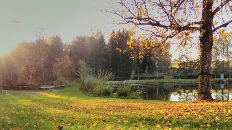 Freibad Ziegelweiher Ochsenhausen