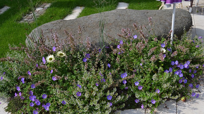 04-gartengestaltung-planzen-blumen