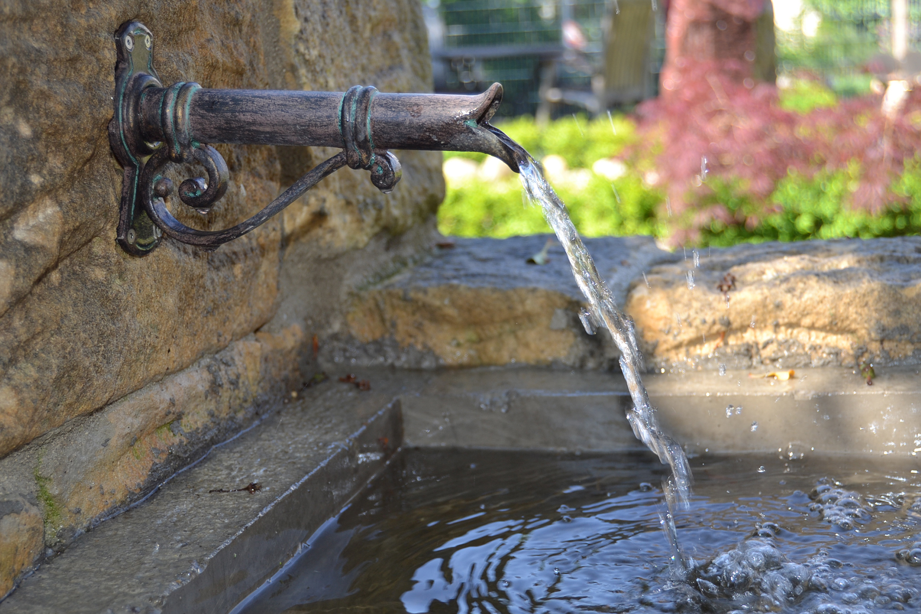 Garten & Wasser