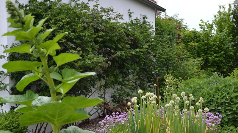 21-wb-privatgarten