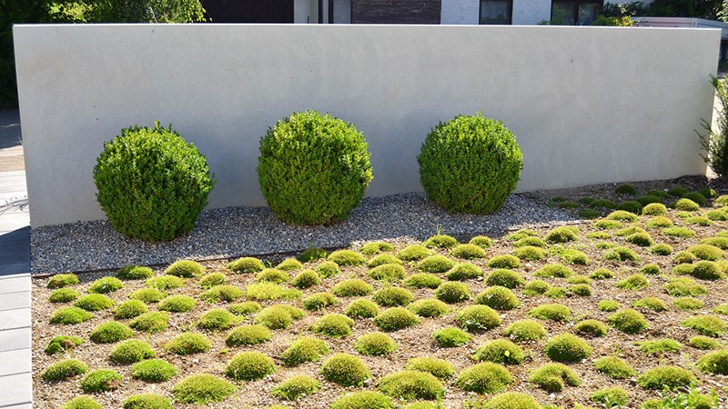 15-wolther-baur-privatgarten