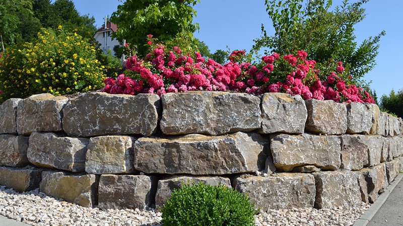 03-wolther-baur-privatgarten