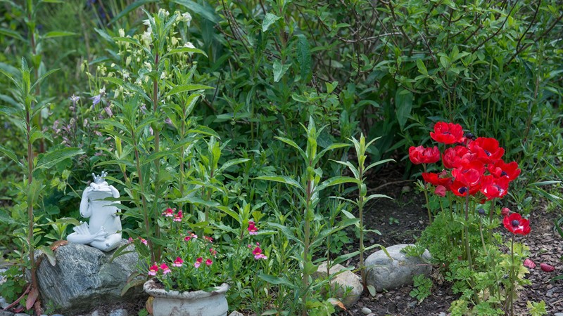 010-kliebhan-garten07.jpg